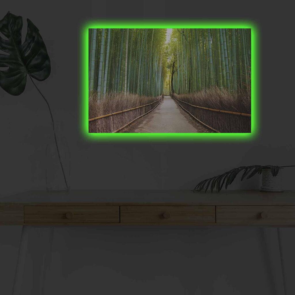 Zidna slika sa LED osvetljenjem 4570DHDACT-159, 45x70 cm