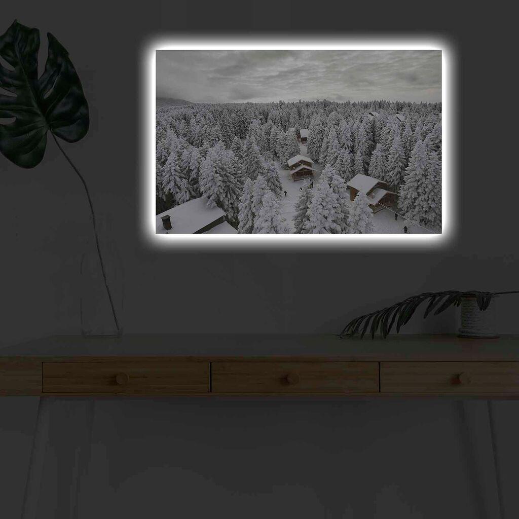 Zidna slika sa LED osvjetljenjem 4570KARDACT - 014, 45x70 cm
