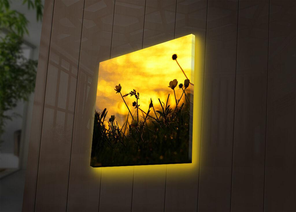 Zidna slika sa LED osvetljenjem 4040DACT-52, 40x40 cm