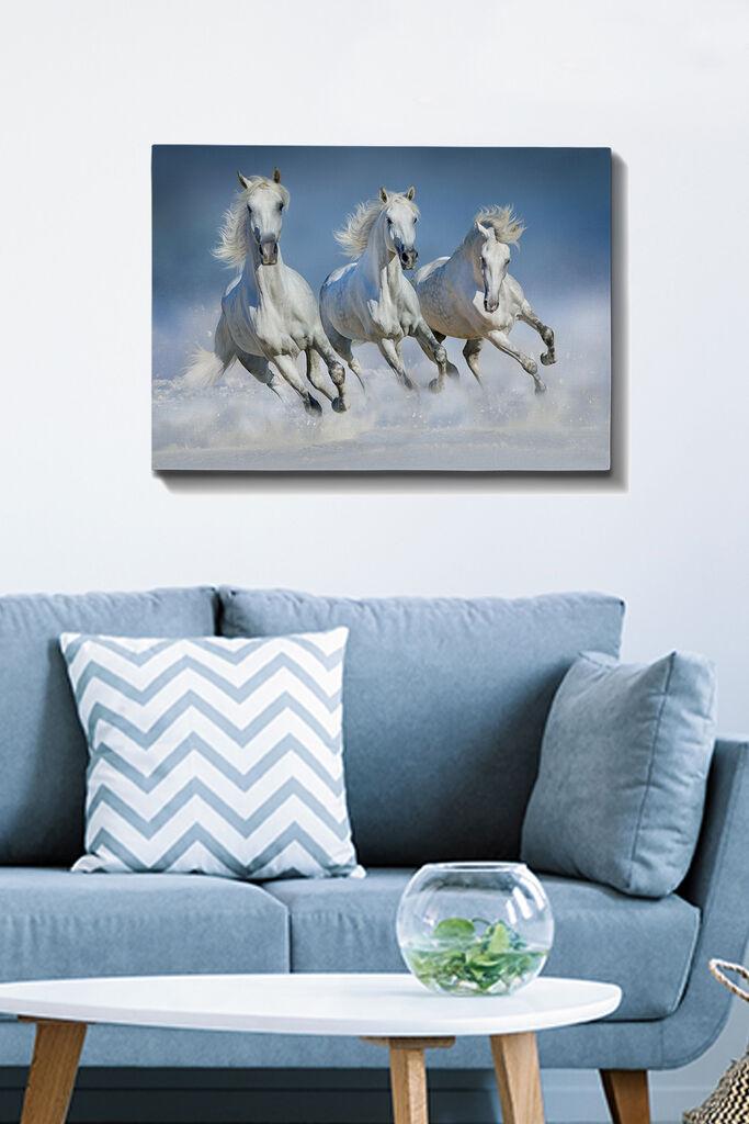 Wallity Slika na platnu Tablo-196, 50x70 cm