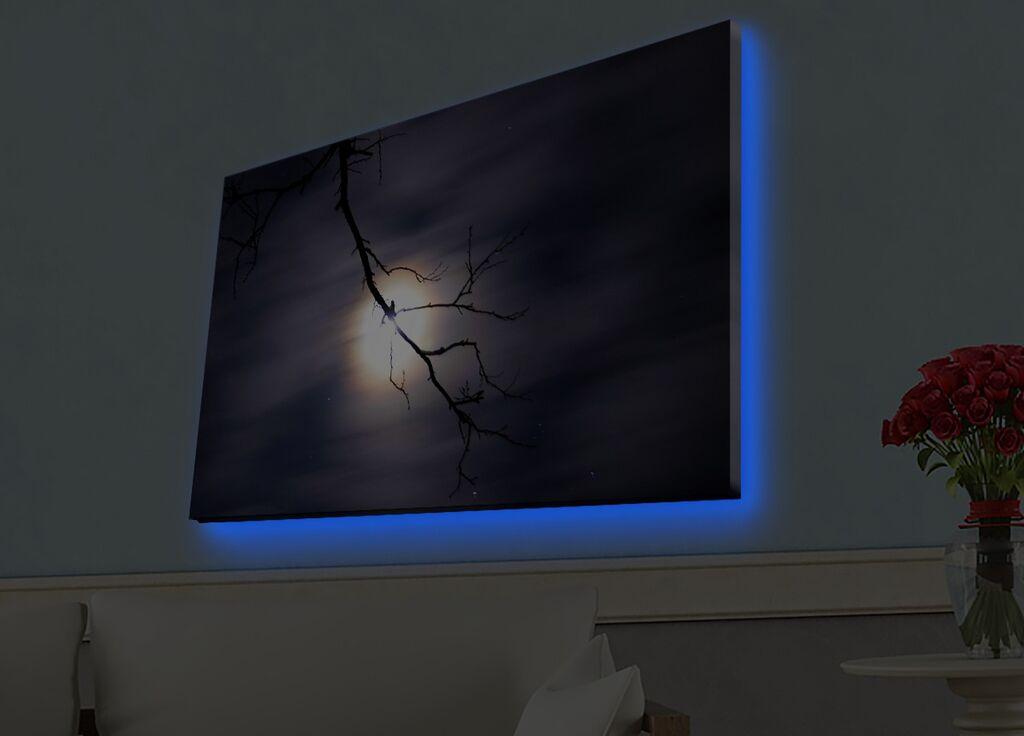 Zidna slika sa LED osvetljenjem 4570HDACT-019, 45x70 cm