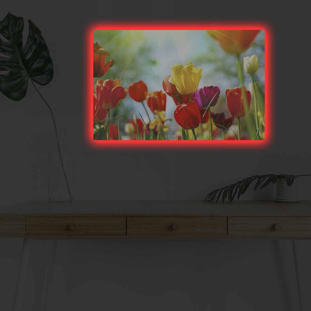 Zidna slika sa LED osvetljenjem 4570DHDACT-078, 45x70 cm