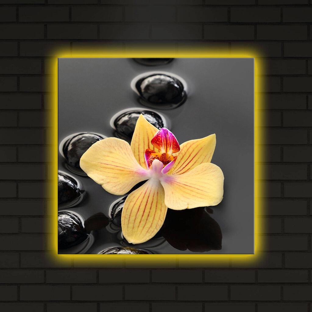 Zidna slika sa LED osvetljenjem 4040DACT-5, 40x40 cm