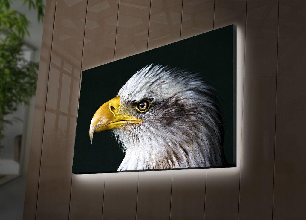 Zidna slika sa LED osvetljenjem 4570DACT-63, 45x70 cm