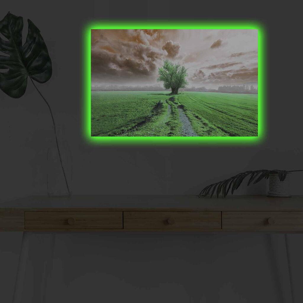 Zidna slika sa LED osvetljenjem 4570DHDACT-103, 45x70 cm