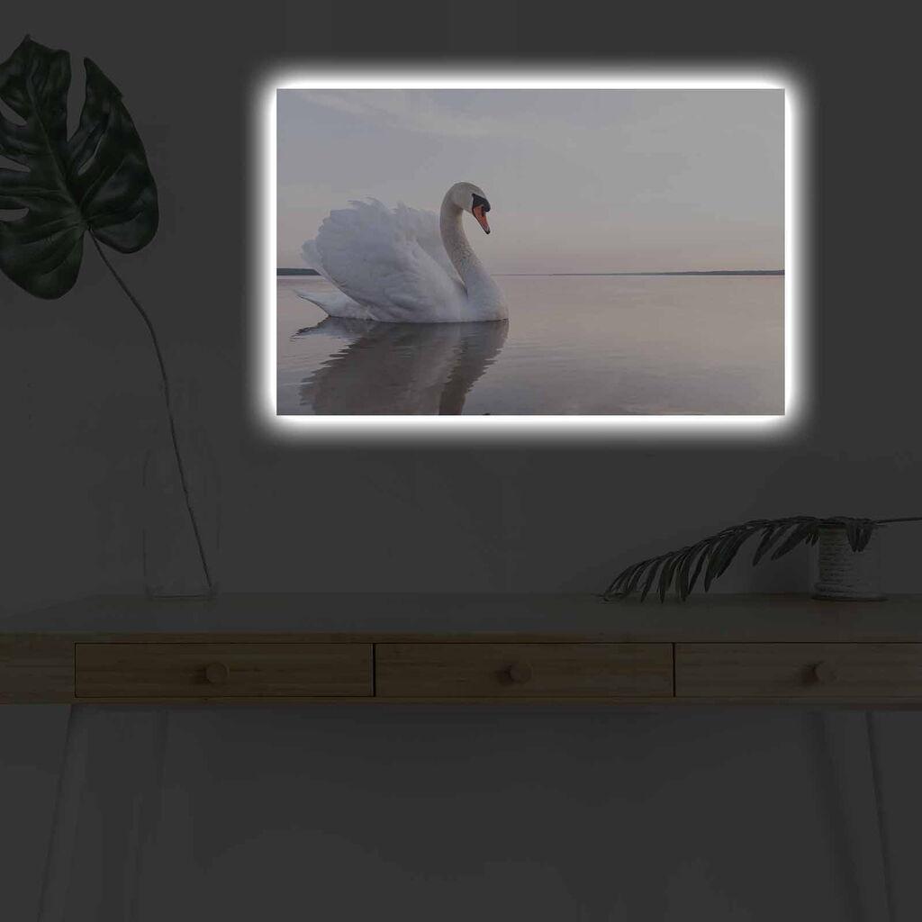 Zidna slika sa LED osvetljenjem 4570DHDACT-111, 45x70 cm