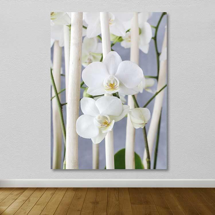 Slika na zidu DEV03197100140, 100x140 cm