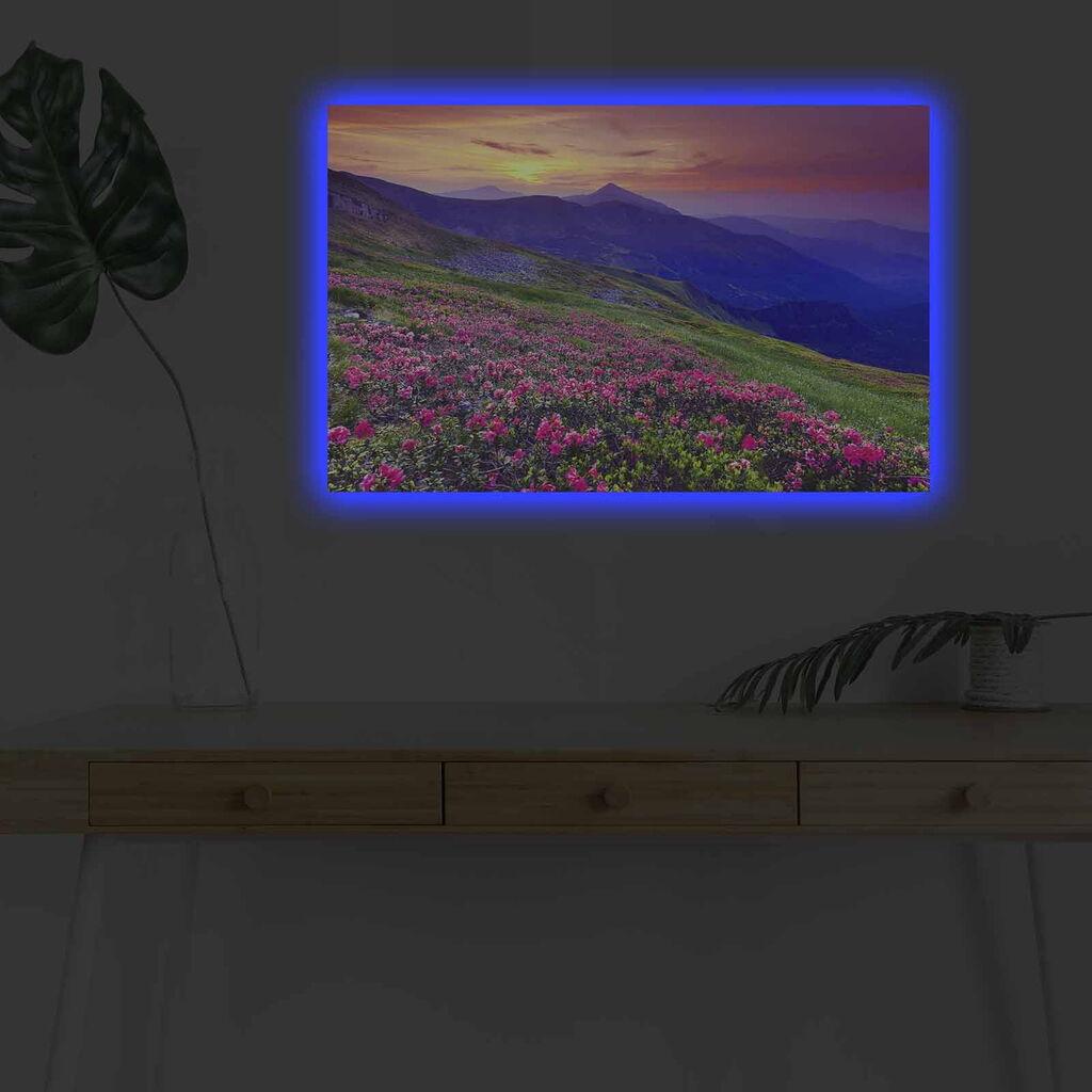 Zidna slika sa LED osvetljenjem 4570DHDACT-094, 45x70 cm