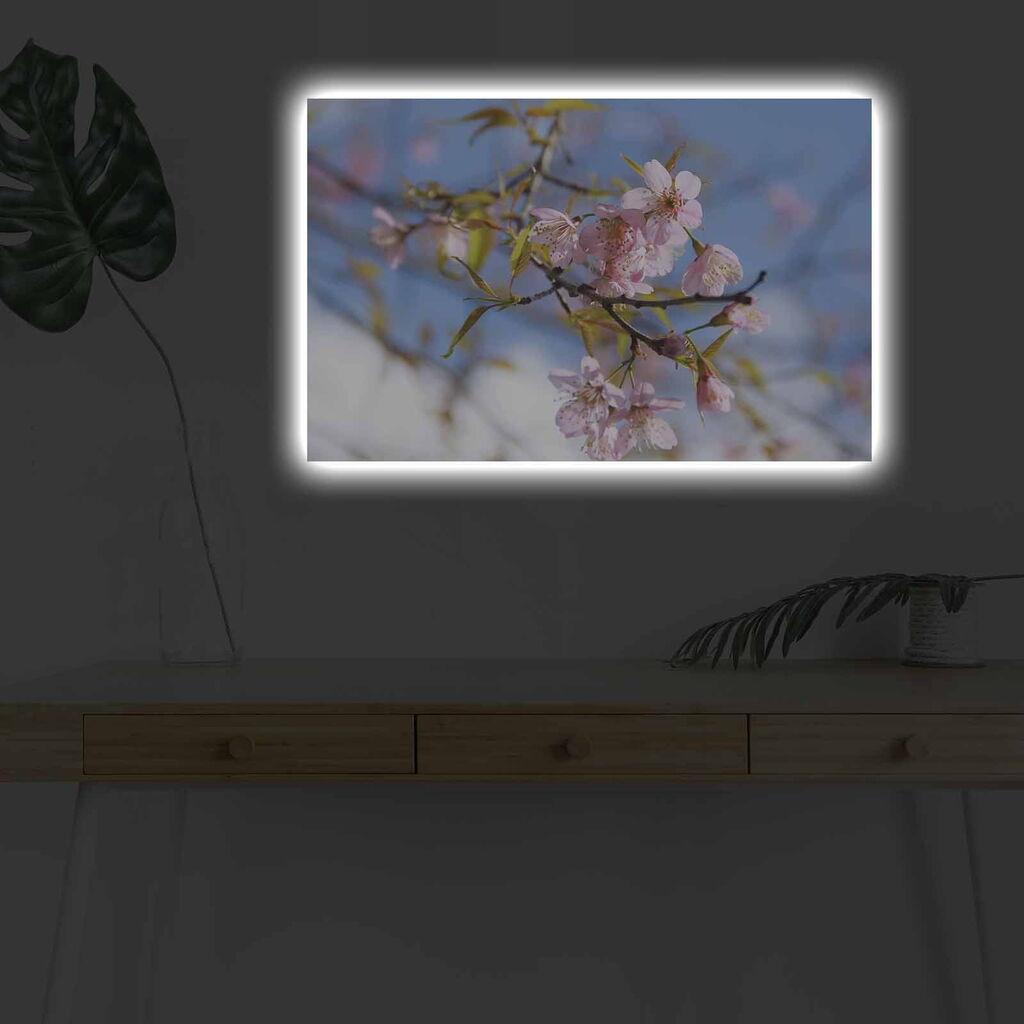 Zidna slika sa LED osvjetljenjem 4570DHDACT-032, 45x70 cm