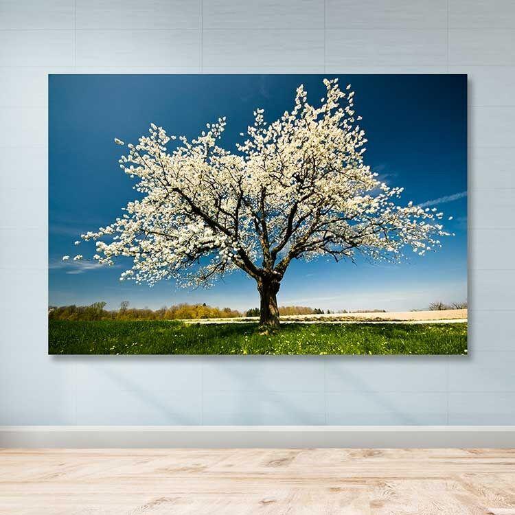 Slika Wallity DEV02298100140, 100x140 cm