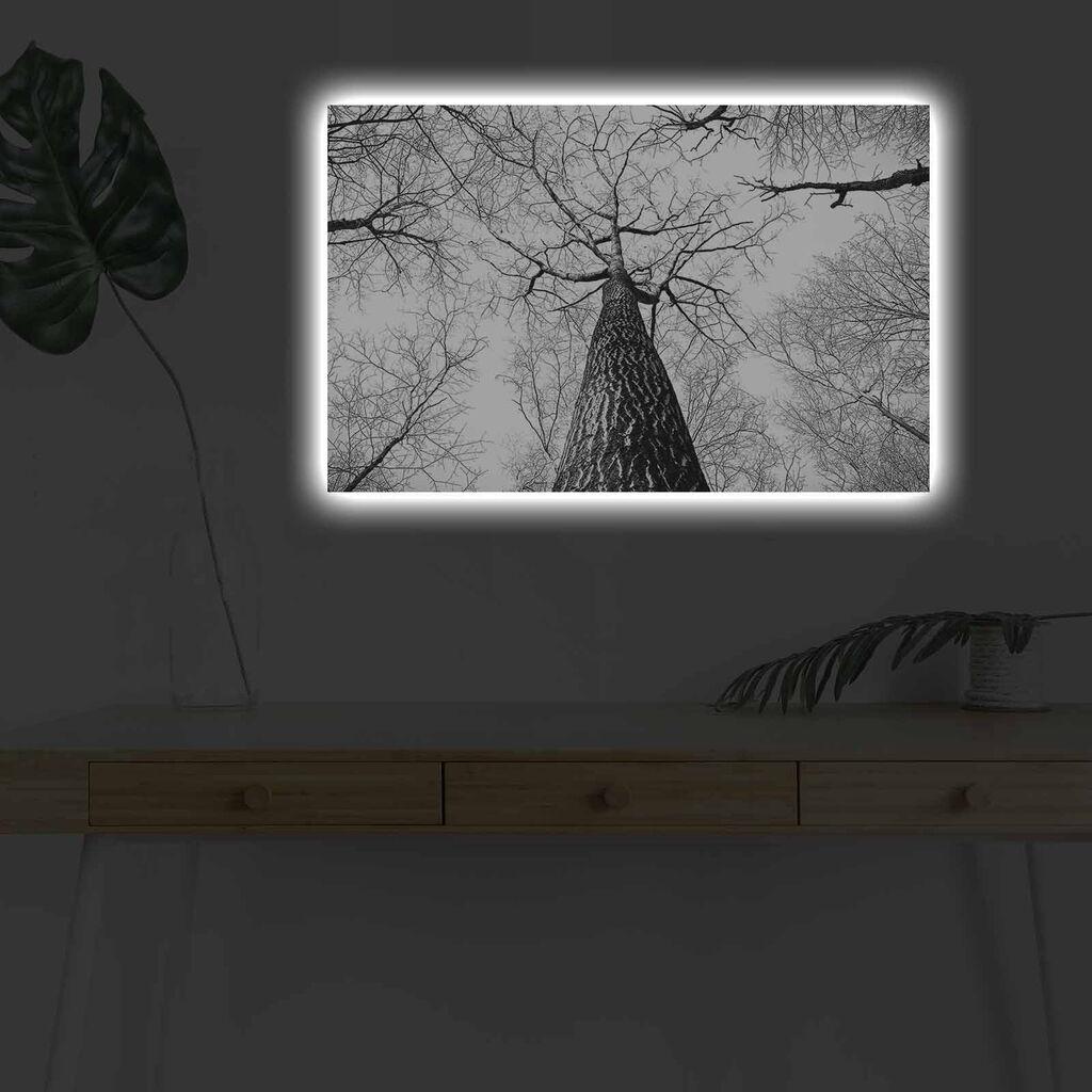 Zidna slika sa LED osvetljenjem 4570DHDACT-068, 45x70 cm