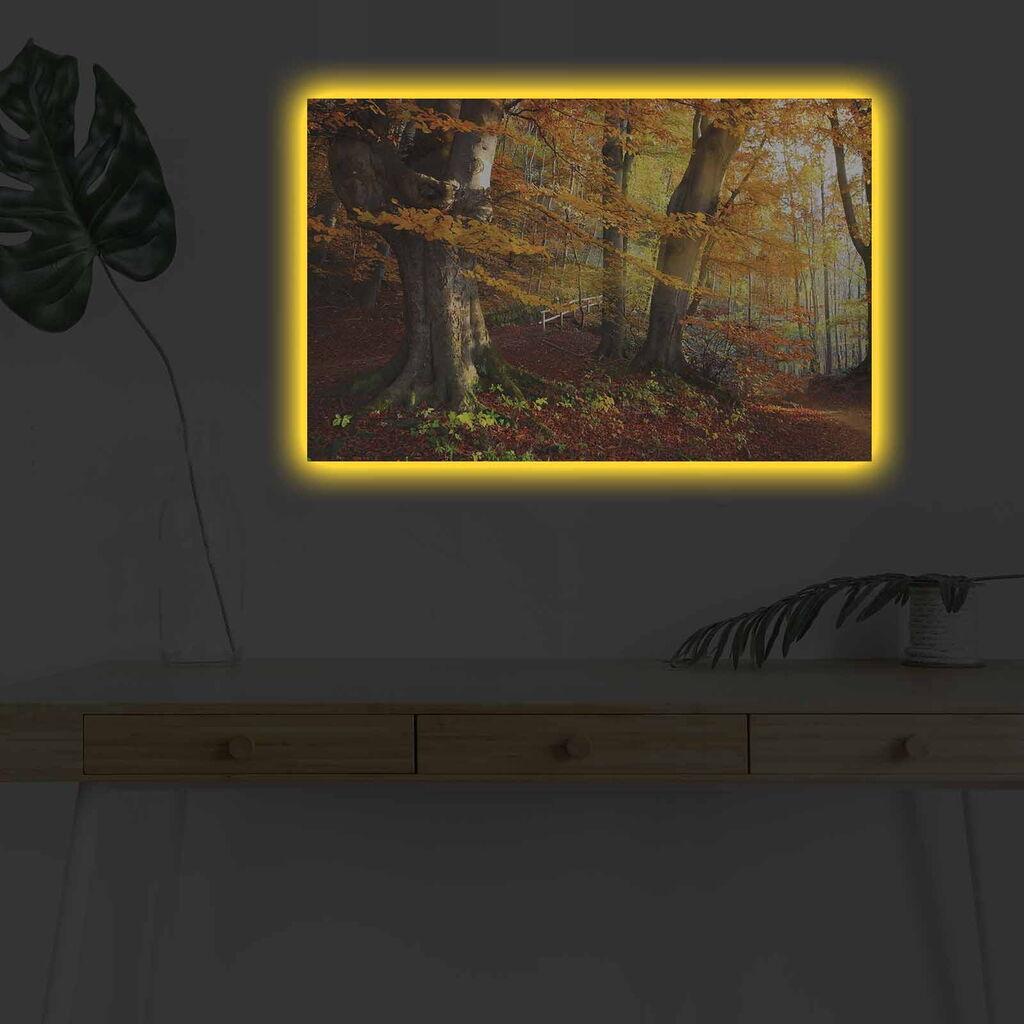 Zidna slika sa LED osvetljenjem 4570DHDACT-151, 45x70 cm