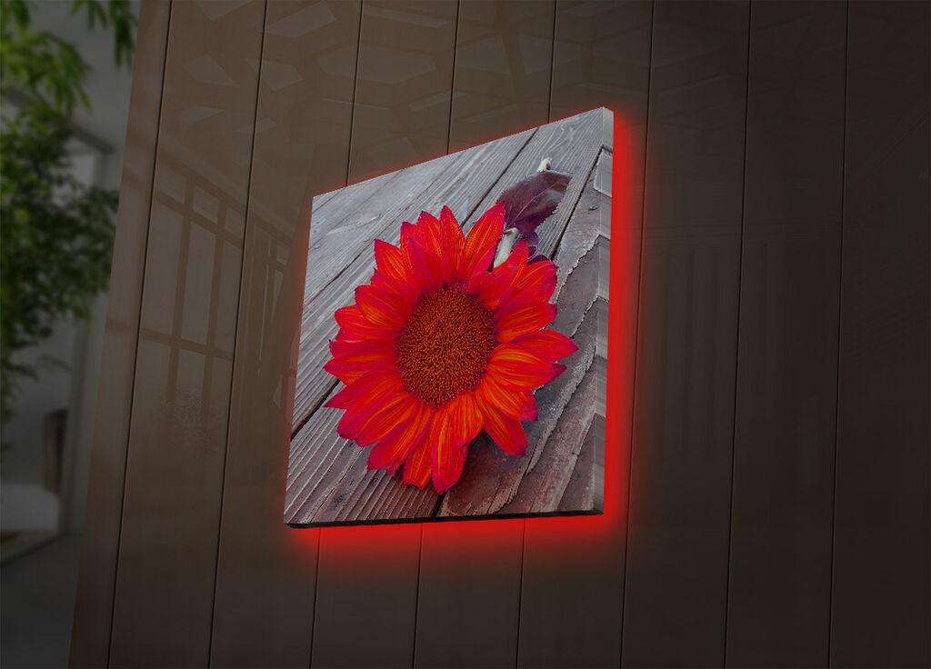 Zidna slika sa LED osvetljenjem 4040DACT-50, 40x40 cm