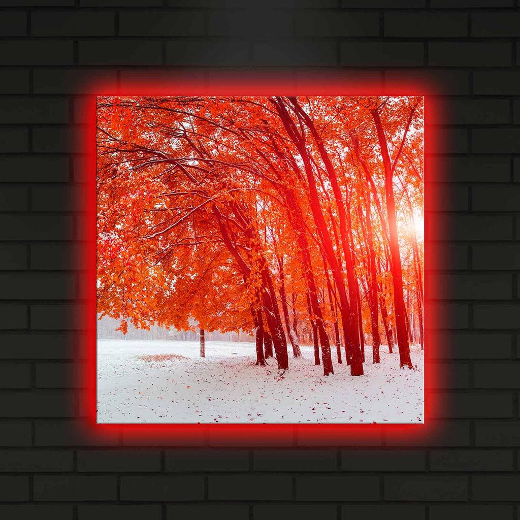 Zidna slika sa LED osvetljenjem 4040DACT-14, 40x40 cm