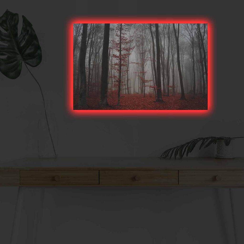Zidna slika sa LED osvetljenjem 4570DHDACT-106, 45x70 cm