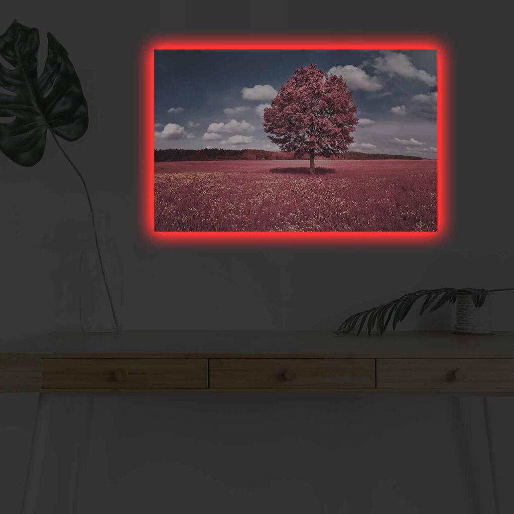 Zidna slika sa LED osvetljenjem 4570DHDACT-001, 45x70 cm