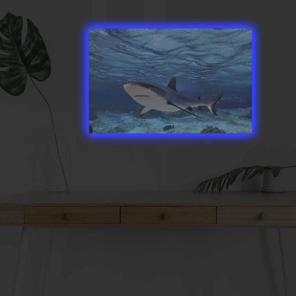 Zidna slika sa LED osvetljenjem 4570DHDACT-030, 45x70 cm