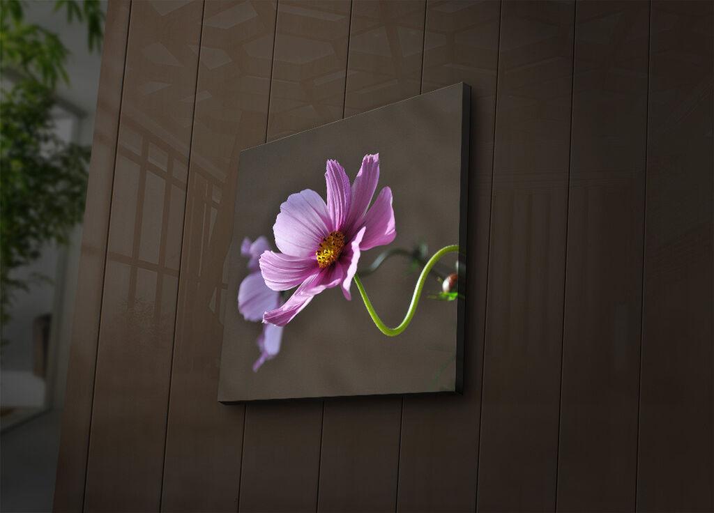 Zidna slika sa LED osvetljenjem 4040IACT-44, 40x40 cm