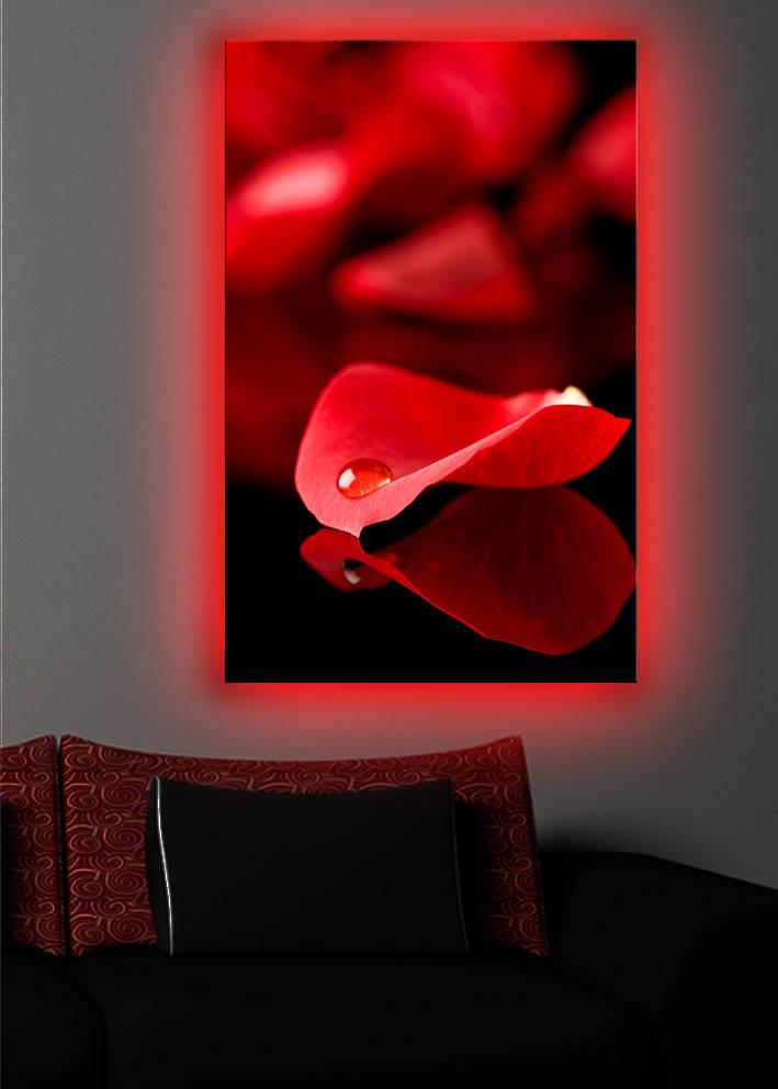 Zidna slika sa LED osvetljenjem 4570DACT-9, 45x70 cm
