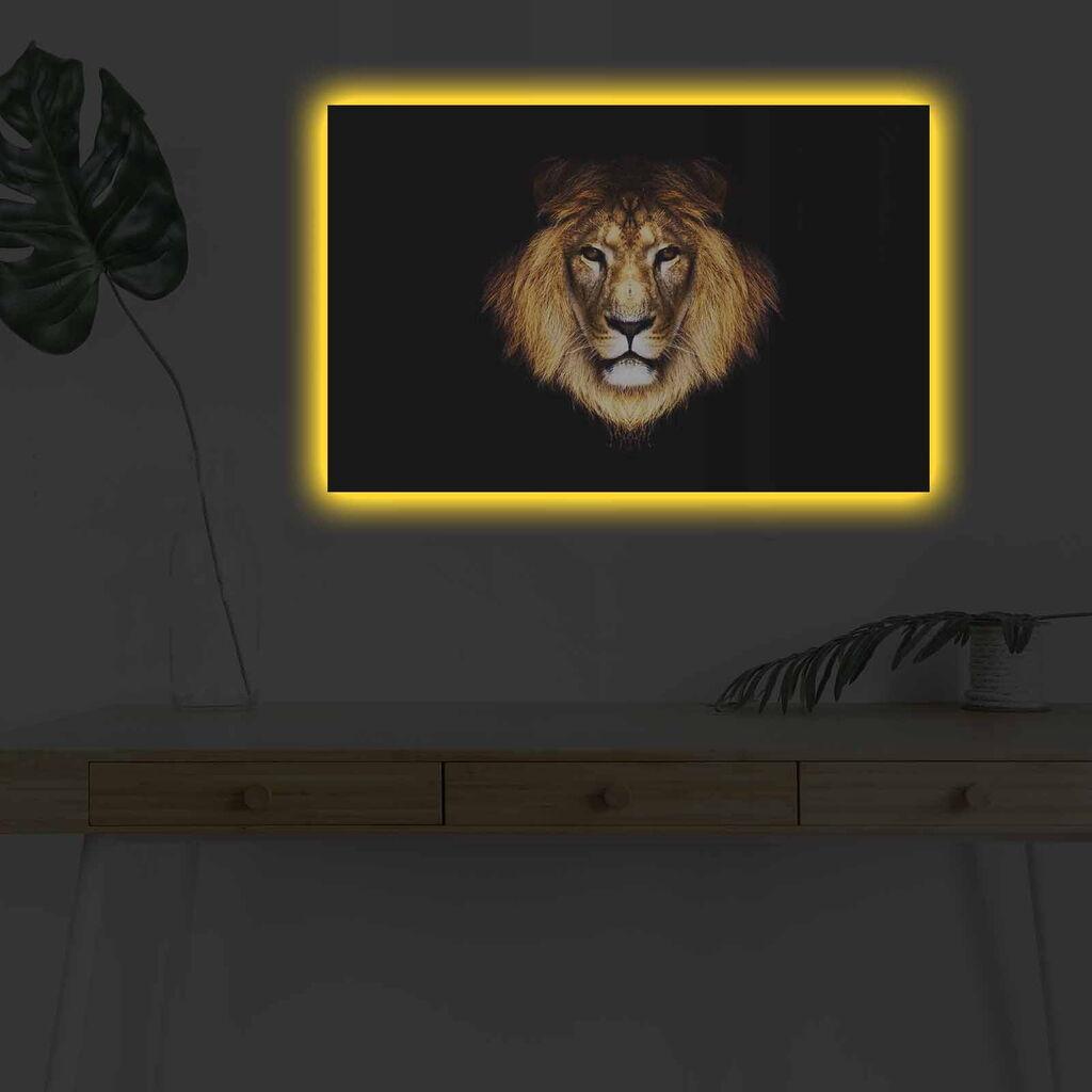 Zidna slika sa LED osvetljenjem 4570DHDACT-045, 45x70 cm