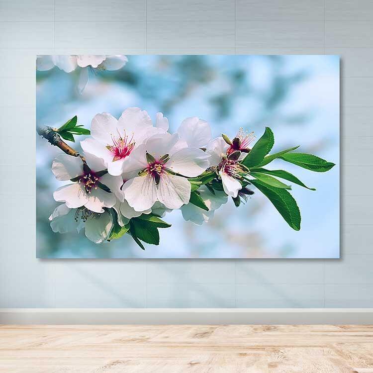 Slika na zidu DEV02901100140, 100x140 cm