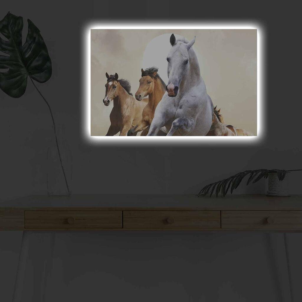 Zidna slika sa LED osvetljenjem 4570DHDACT-093, 45x70 cm