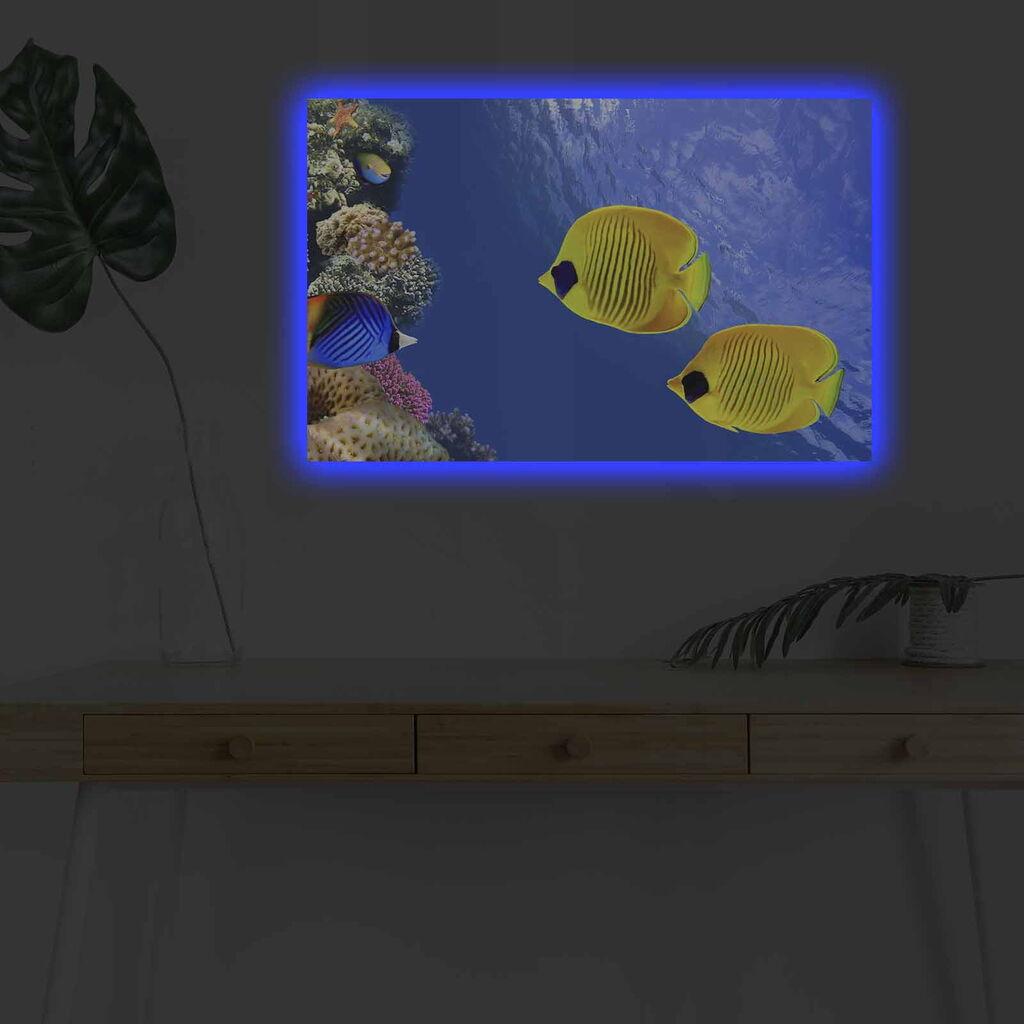 Zidna slika sa LED osvetljenjem 4570DHDACT-075, 45x70 cm