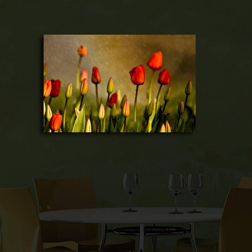 Zidna slika sa LED osvetljenjem 4570IACT-28, 45x70 cm