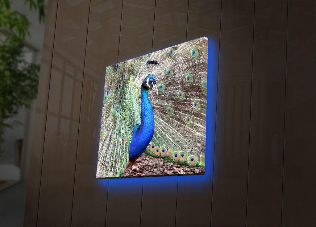 Zidna slika sa LED osvetljenjem 4040DACT-45, 40x40 cm