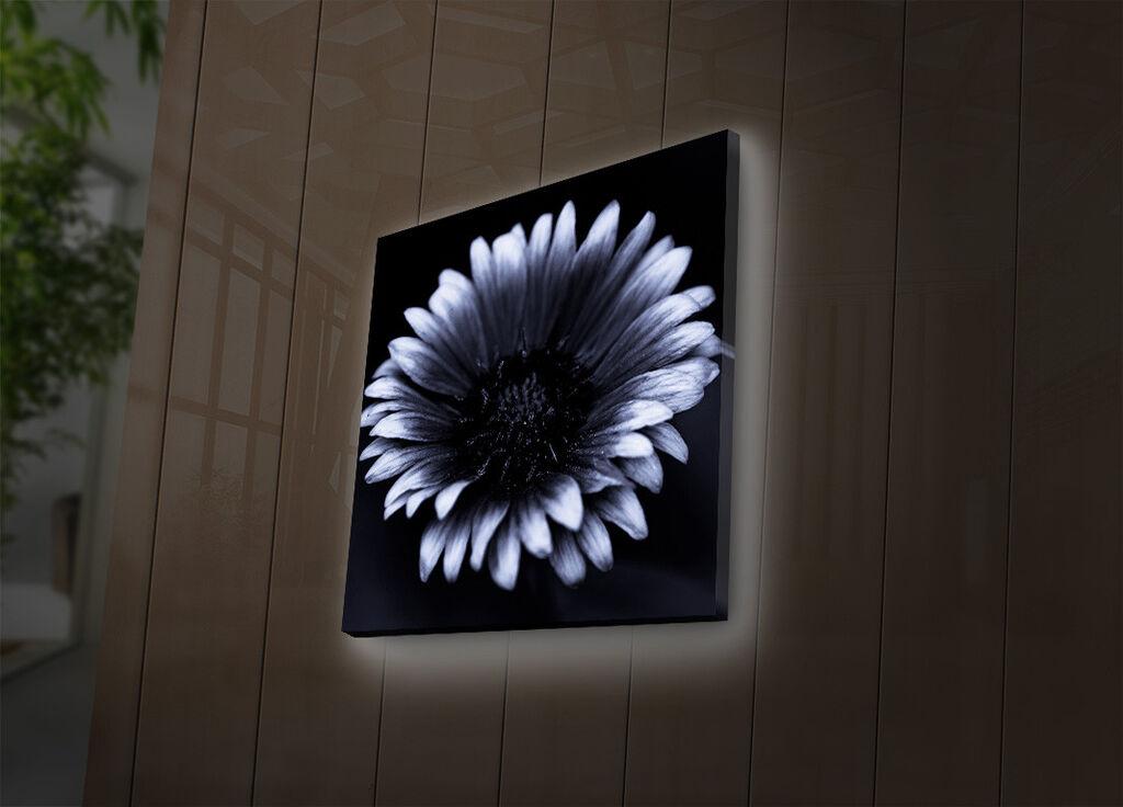 Zidna slika sa LED osvetljenjem 4040DACT-33, 40x40 cm