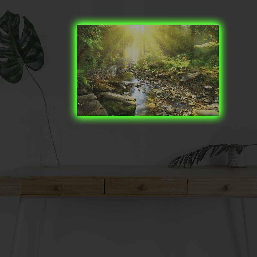 Zidna slika sa LED osvetljenjem 4570DHDACT-119, 45x70 cm