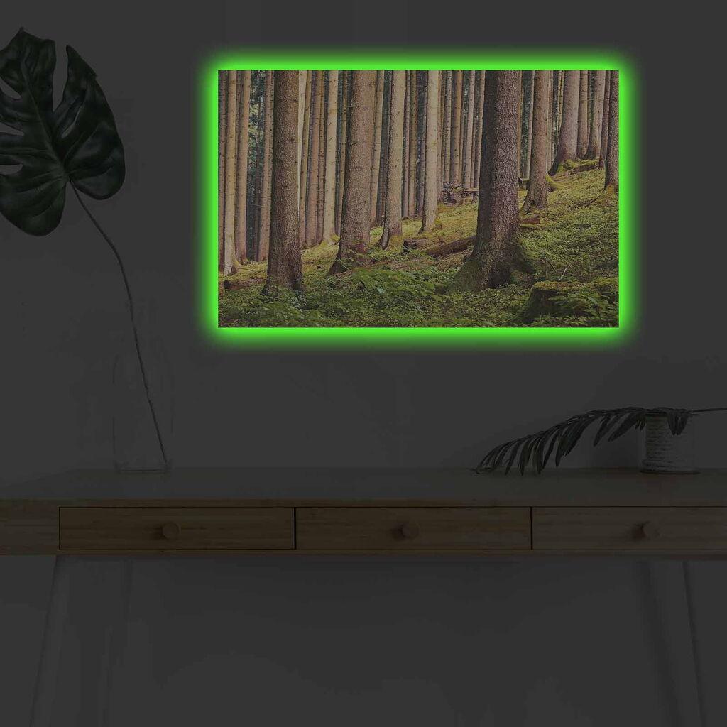 Zidna slika sa LED osvjetljenjem 4570DHDACT-010, 45x70 cm