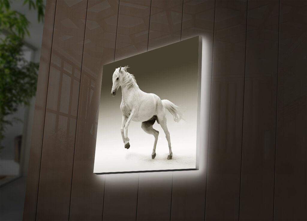 Zidna slika sa LED osvetljenjem 4040DACT-41, 40x40 cm