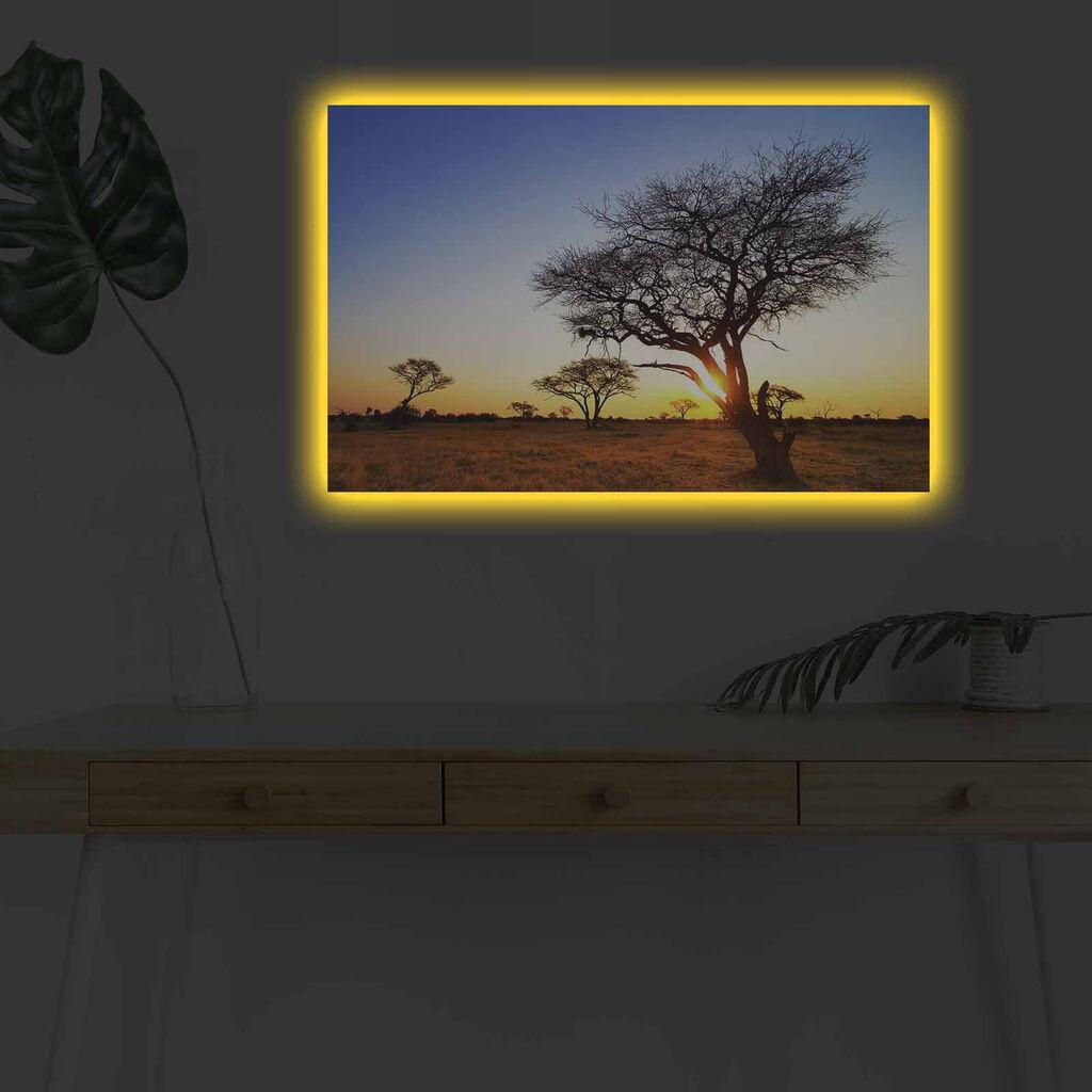 Zidna slika sa LED osvetljenjem 4570DHDACT-090, 45x70 cm