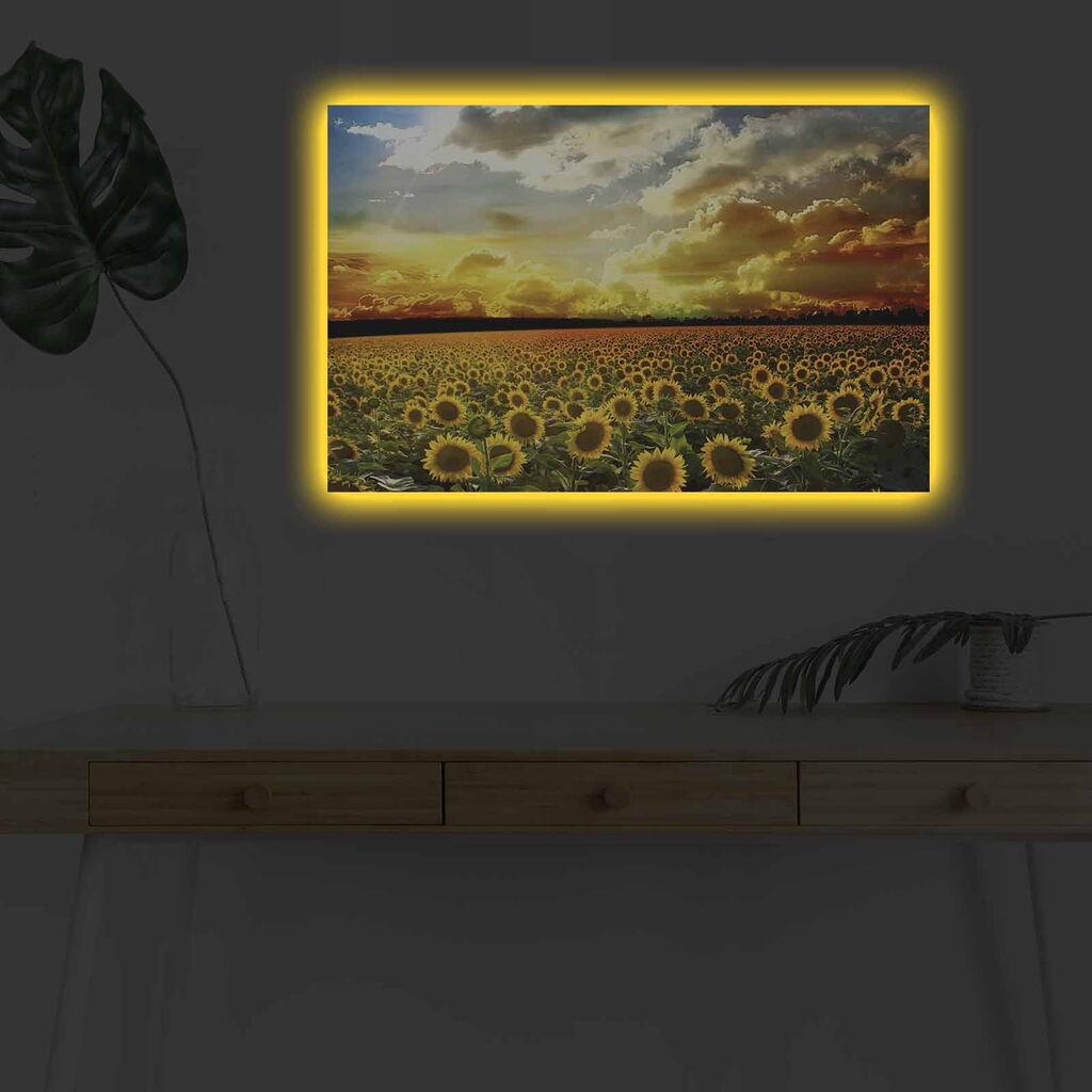 Zidna slika sa LED osvetljenjem 4570DHDACT-088, 45x70 cm