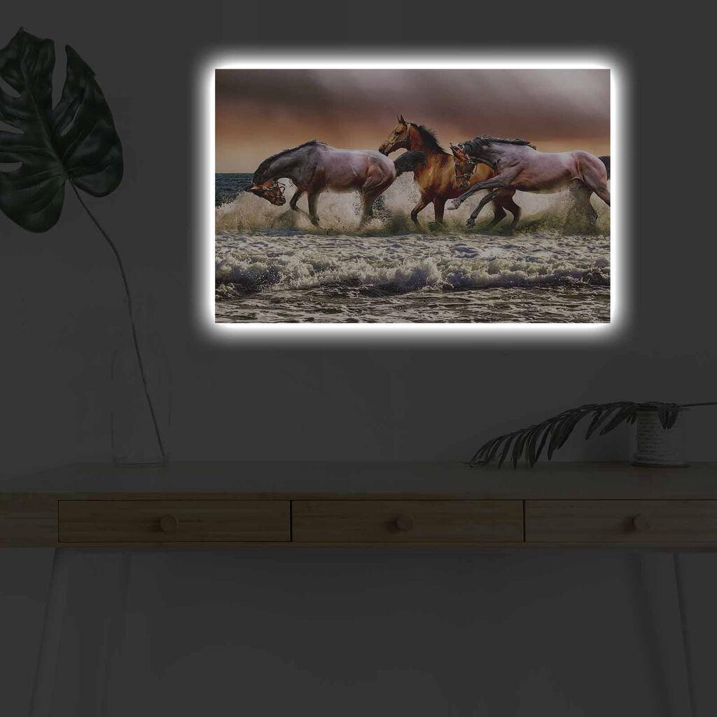Zidna slika sa LED osvetljenjem 4570DHDACT-060, 45x70 cm