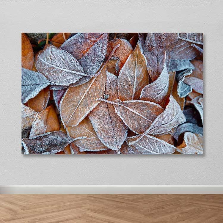 Slika na zidu DEV02313100140, 100x140 cm