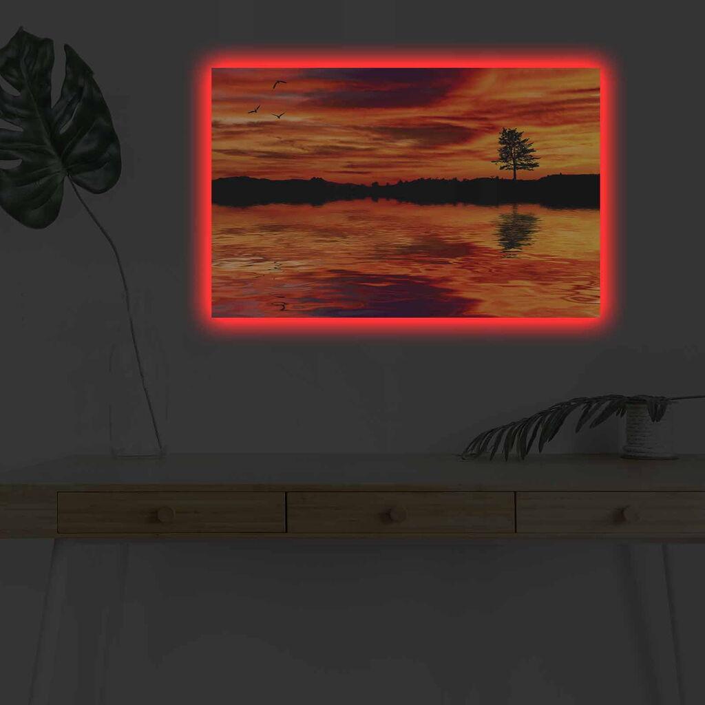 Zidna slika sa LED osvetljenjem 4570DHDACT-098, 45x70 cm