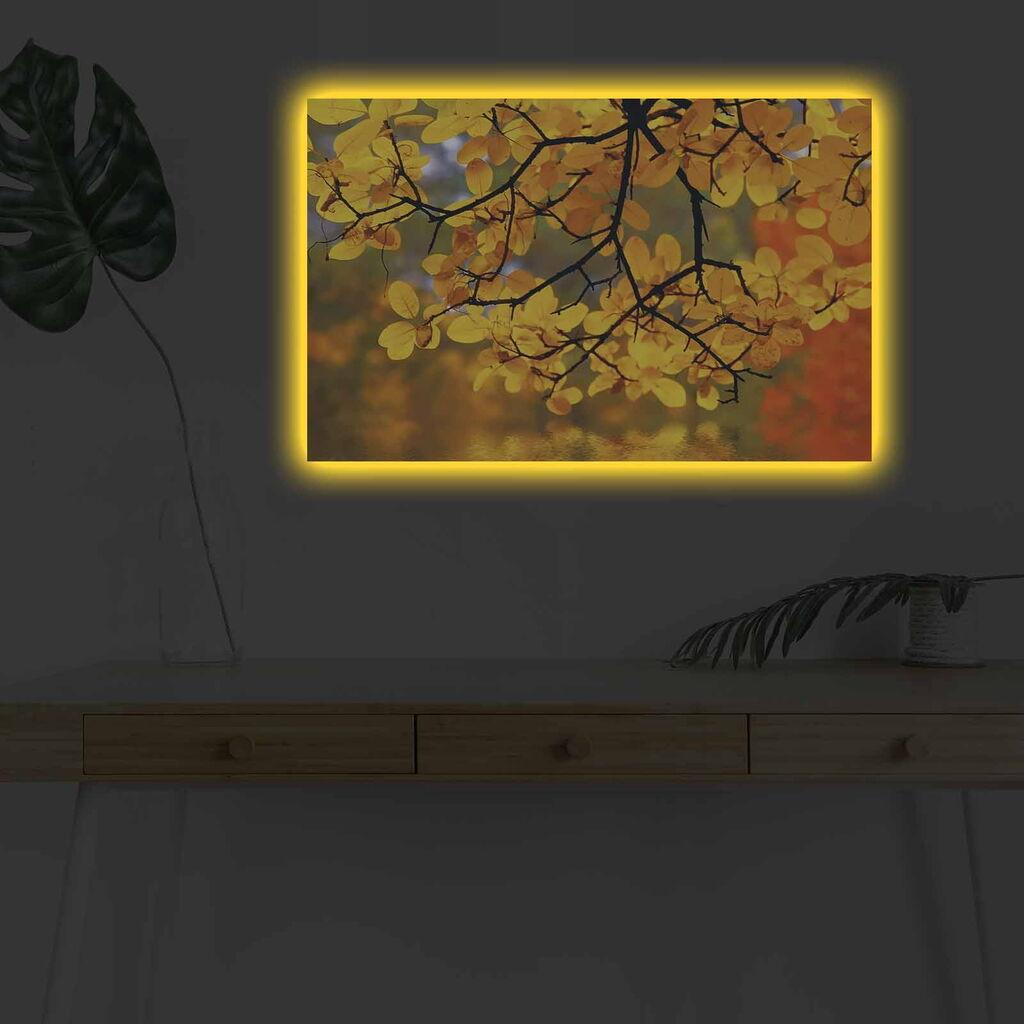 Zidna slika sa LED osvetljenjem 4570DHDACT-044, 45x70 cm