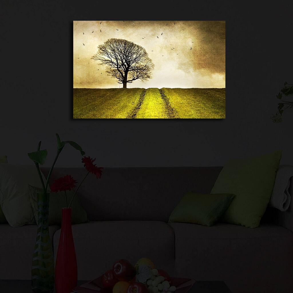 Zidna slika sa LED osvetljenjem 4570IACT-48, 45x70 cm