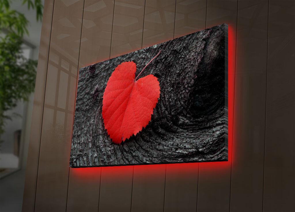 Zidna slika sa LED osvetljenjem 4570DACT-52, 45x70 cm