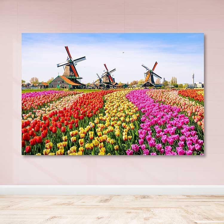 Slika na zidu DEV02943100140, 100x140 cm