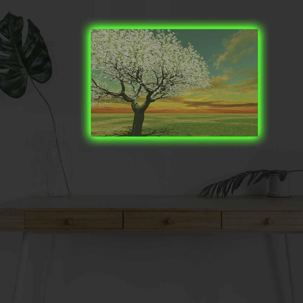 Zidna slika sa LED osvetljenjem 4570DHDACT-146, 45x70 cm