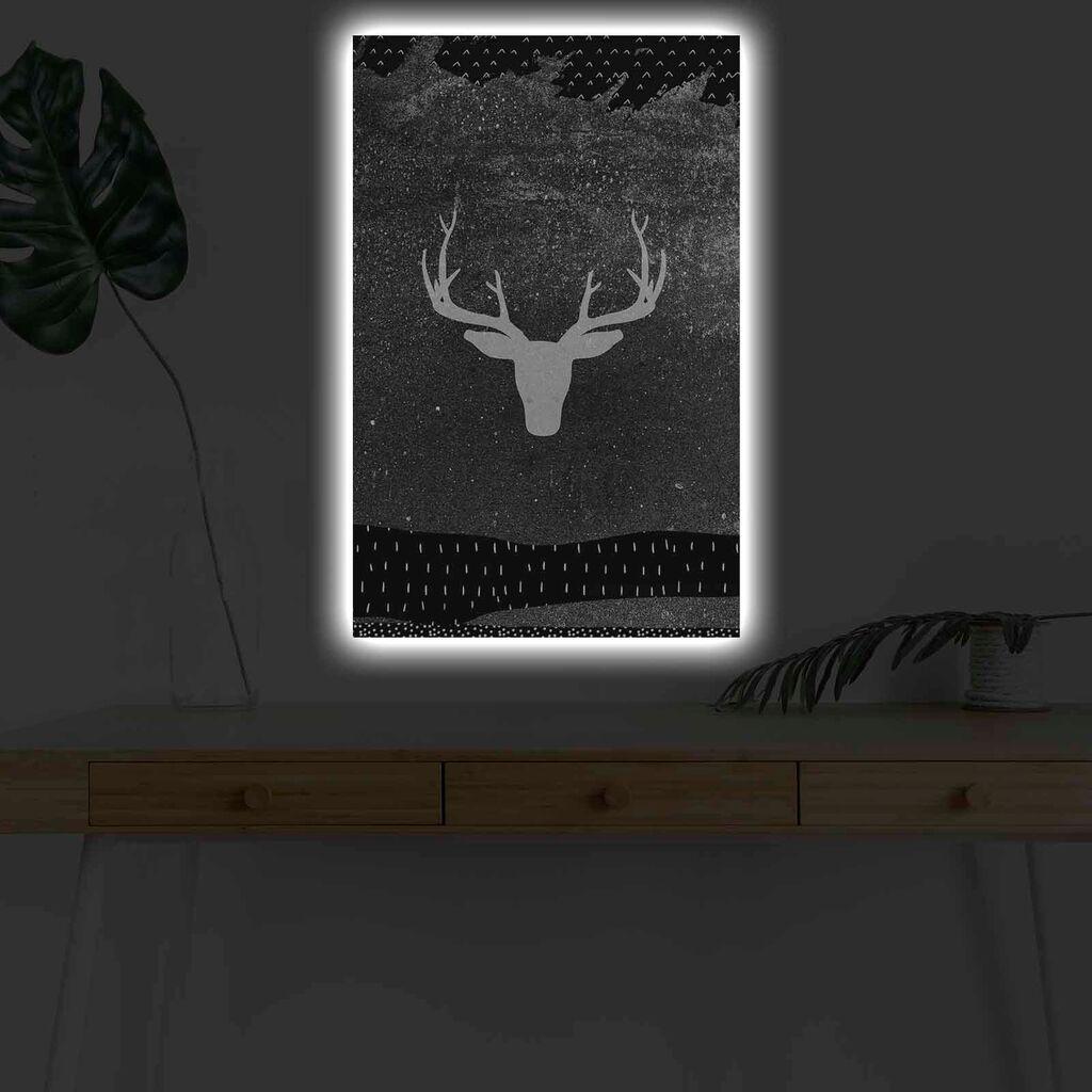 Zidna slika sa LED osvjetljenjem 4570KARDACT - 013, 45x70 cm