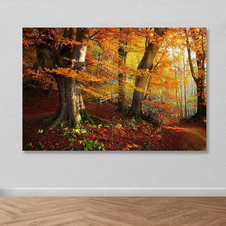 Slika na zidu DEV02124100140, 100x140 cm