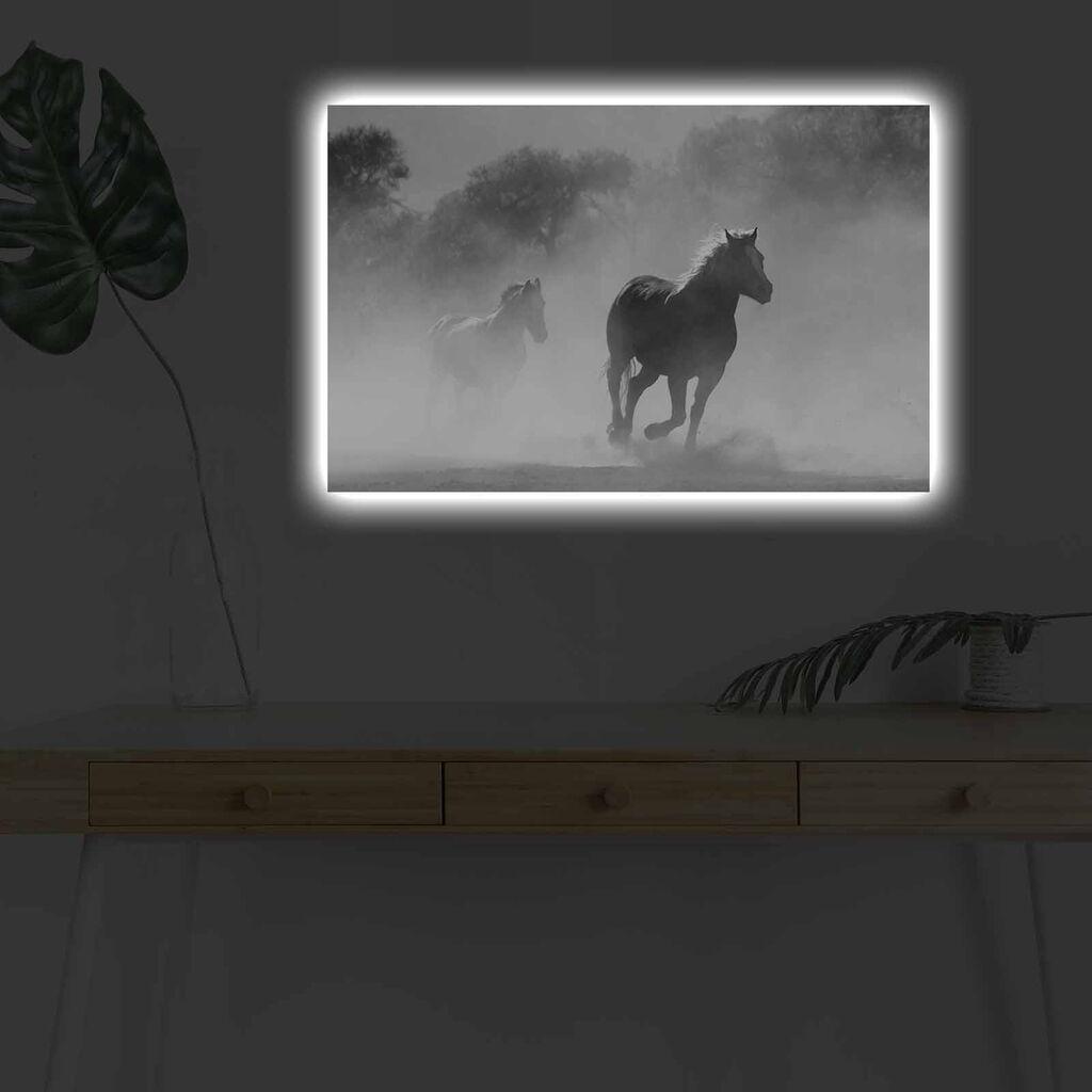 Zidna slika sa LED osvetljenjem 4570DHDACT-125, 45x70 cm