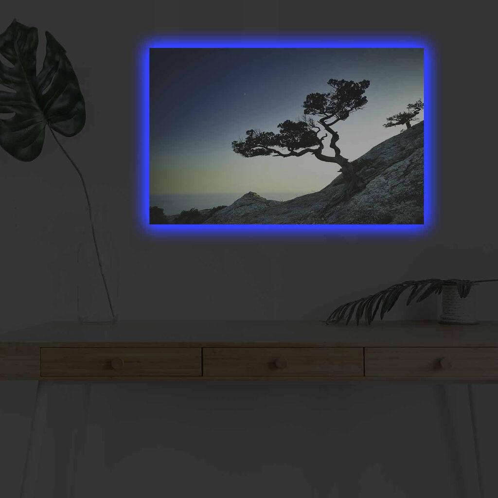 Zidna slika sa LED osvetljenjem 4570DHDACT-156, 45x70 cm