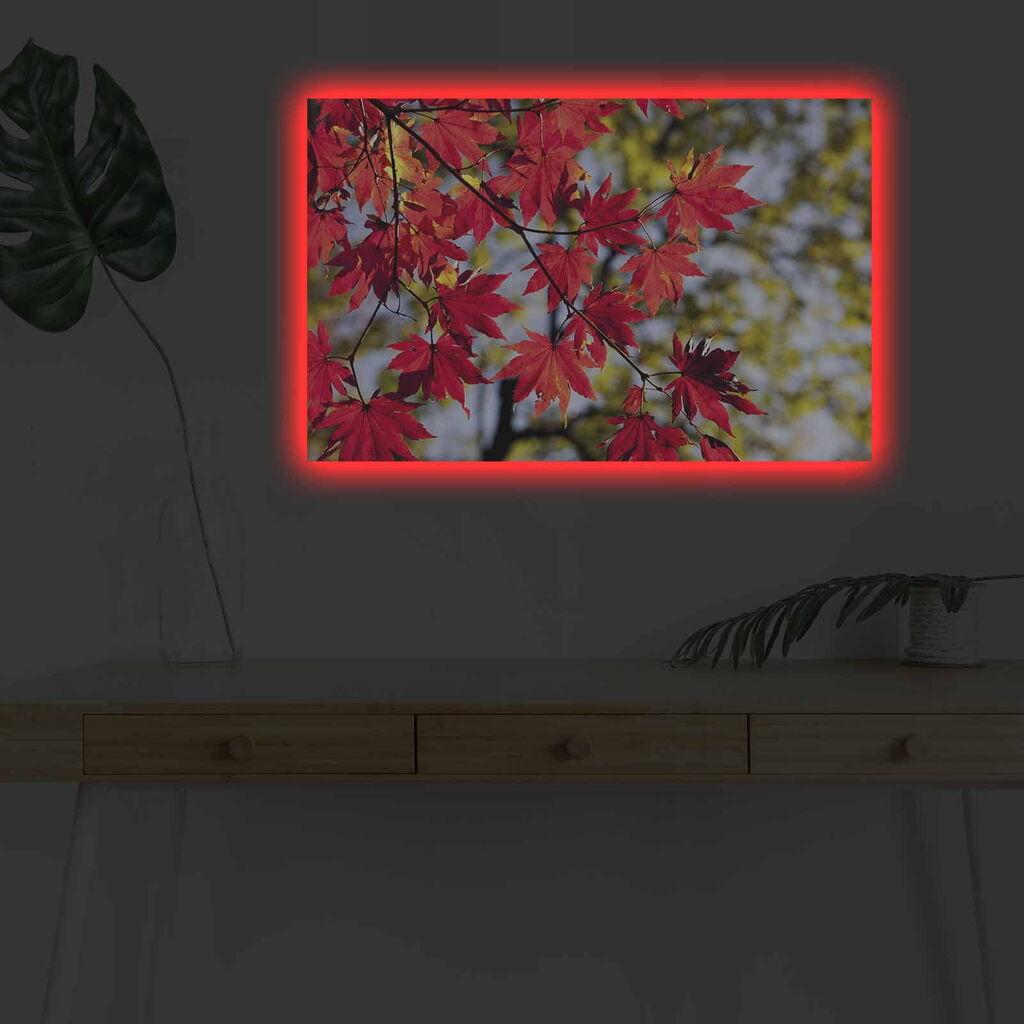 Zidna slika sa LED osvetljenjem 4570DHDACT-064, 45x70 cm