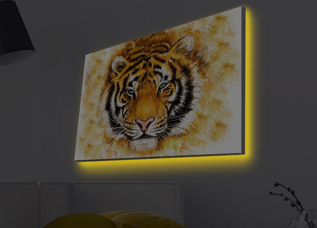 Zidna slika sa LED osvjetljenjem 4570MDACT-022, 45x70 cm