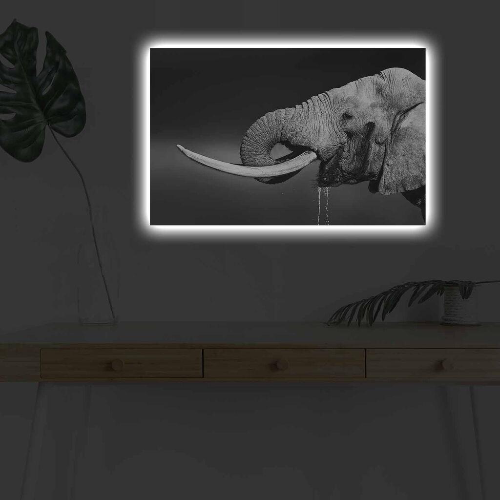 Zidna slika sa LED osvetljenjem 4570DHDACT-165, 45x70 cm